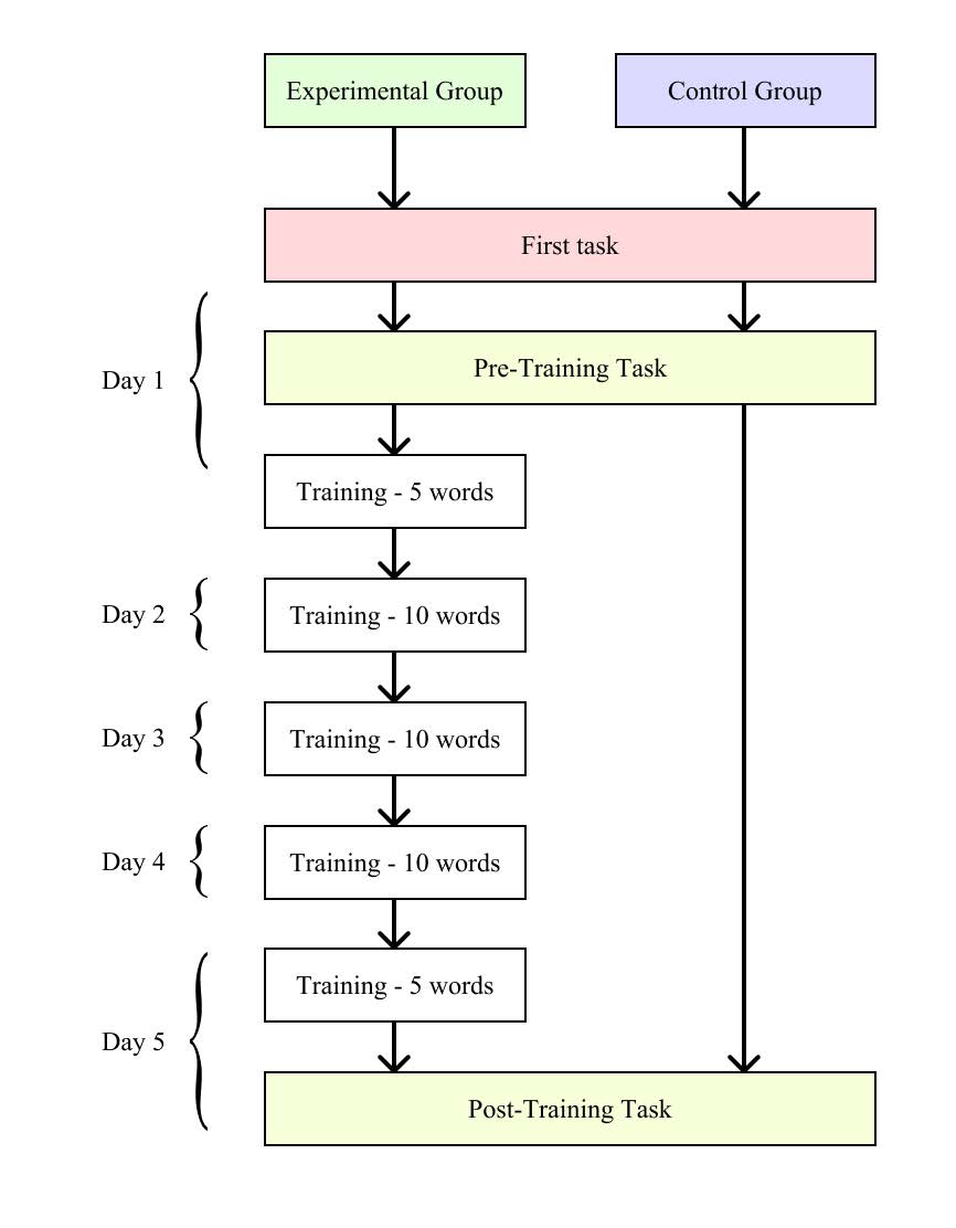Day-by-day study procedure from screening through training to post-test